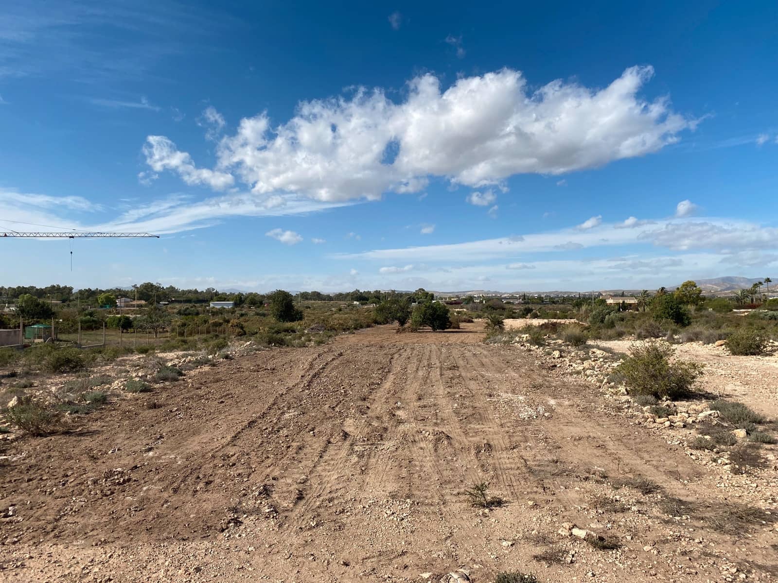 Undeveloped Land for sale in Elche / Elx - € 40,000 (Ref: 8782342)