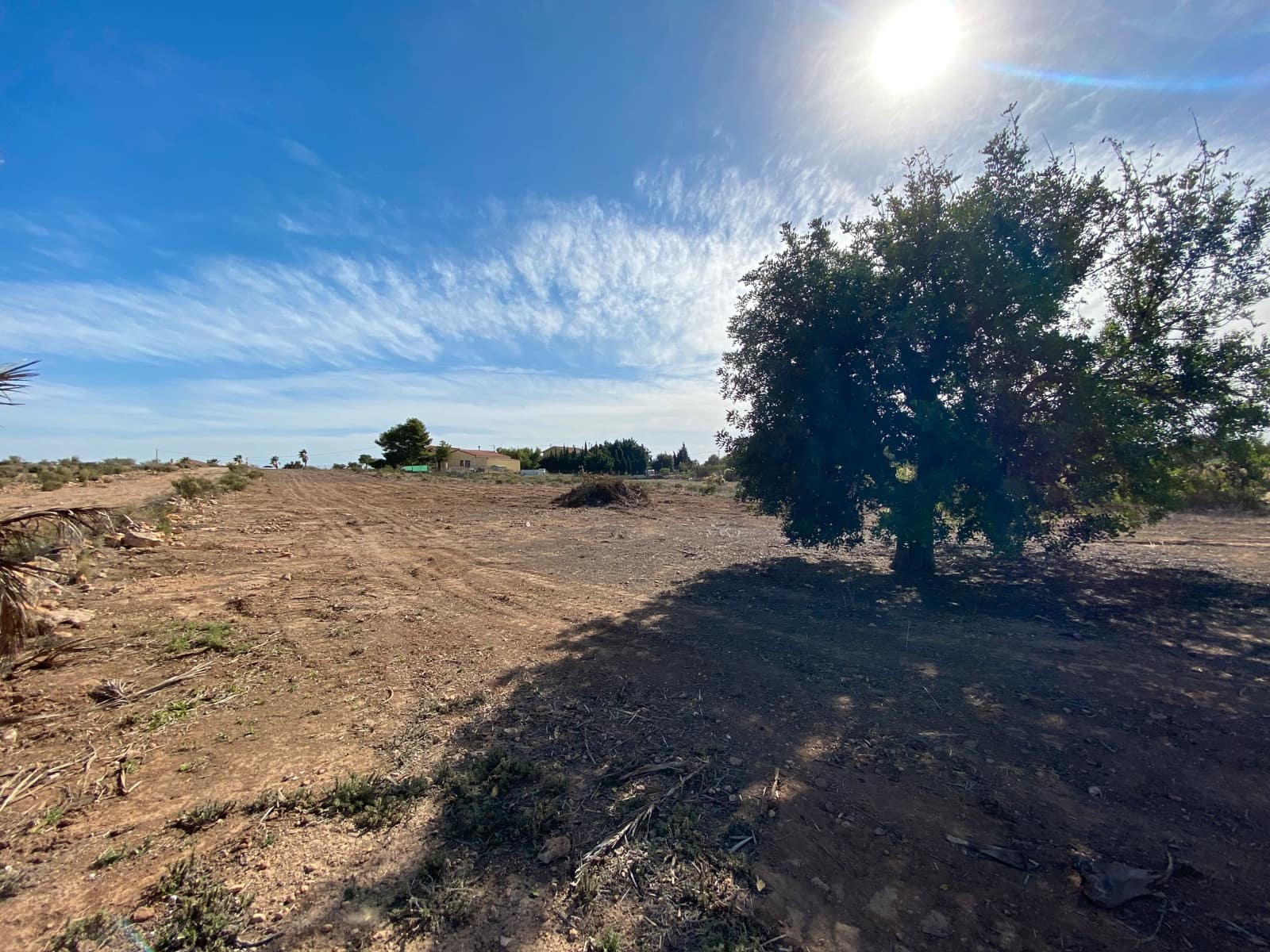 Undeveloped Land for sale in Elche / Elx - € 40,000 (Ref: 8782342)