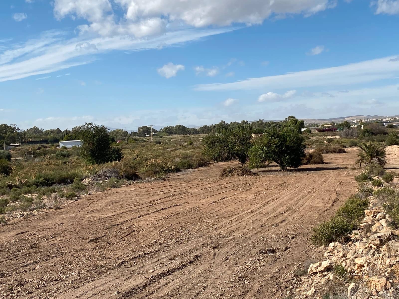 Undeveloped Land for sale in Elche / Elx - € 40,000 (Ref: 8782342)