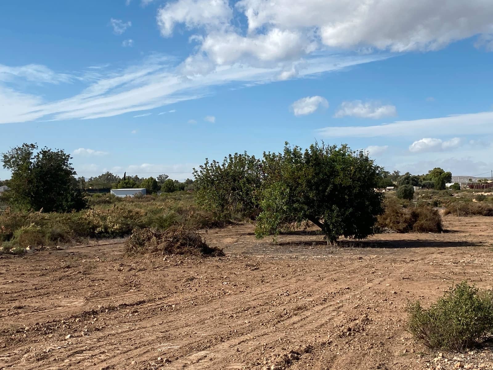 Undeveloped Land for sale in Elche / Elx - € 40,000 (Ref: 8782342)