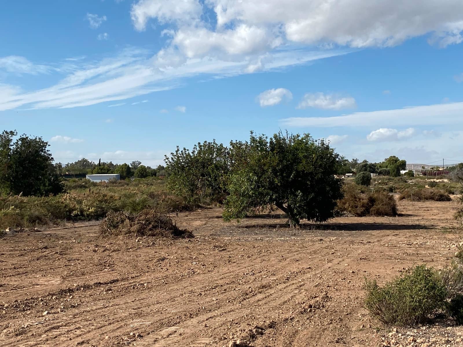 Undeveloped Land for sale in Elche / Elx - € 40,000 (Ref: 8782342)