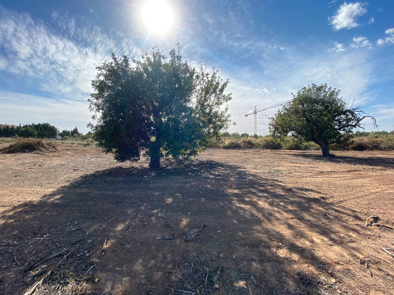 Undeveloped Land for sale in Elche / Elx - € 40,000 (Ref: 8782342)