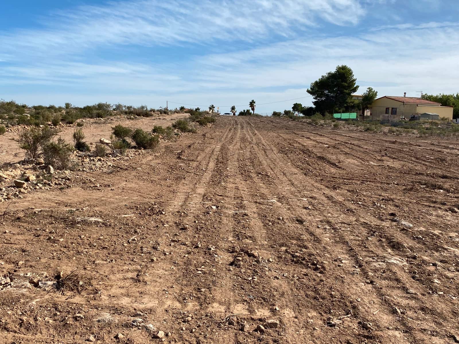 Undeveloped Land for sale in Elche / Elx - € 40,000 (Ref: 8782342)