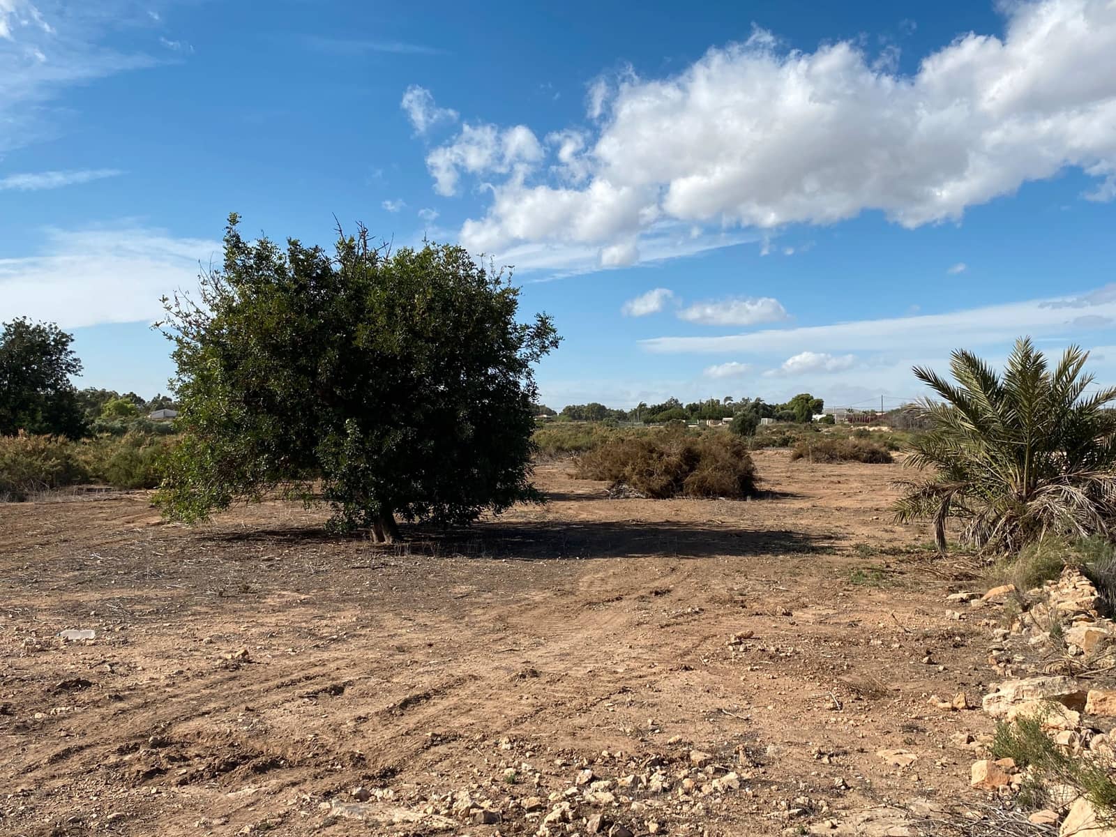 Undeveloped Land for sale in Elche / Elx - € 40,000 (Ref: 8782342)