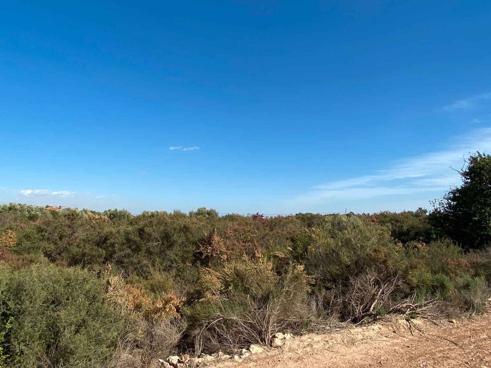 Grunde uden byggetilladelser til salg i Elche / Elx - € 33.000 (Ref: 8782346)