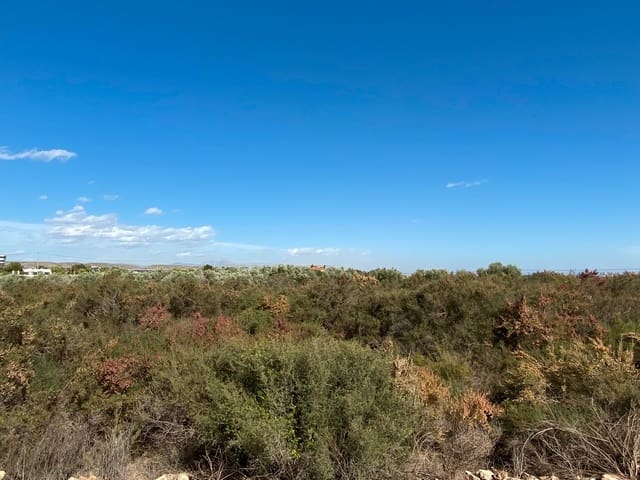 Undeveloped Land for sale in El Altet, Elche / Elx - € 33,000 (Ref: 8782346)