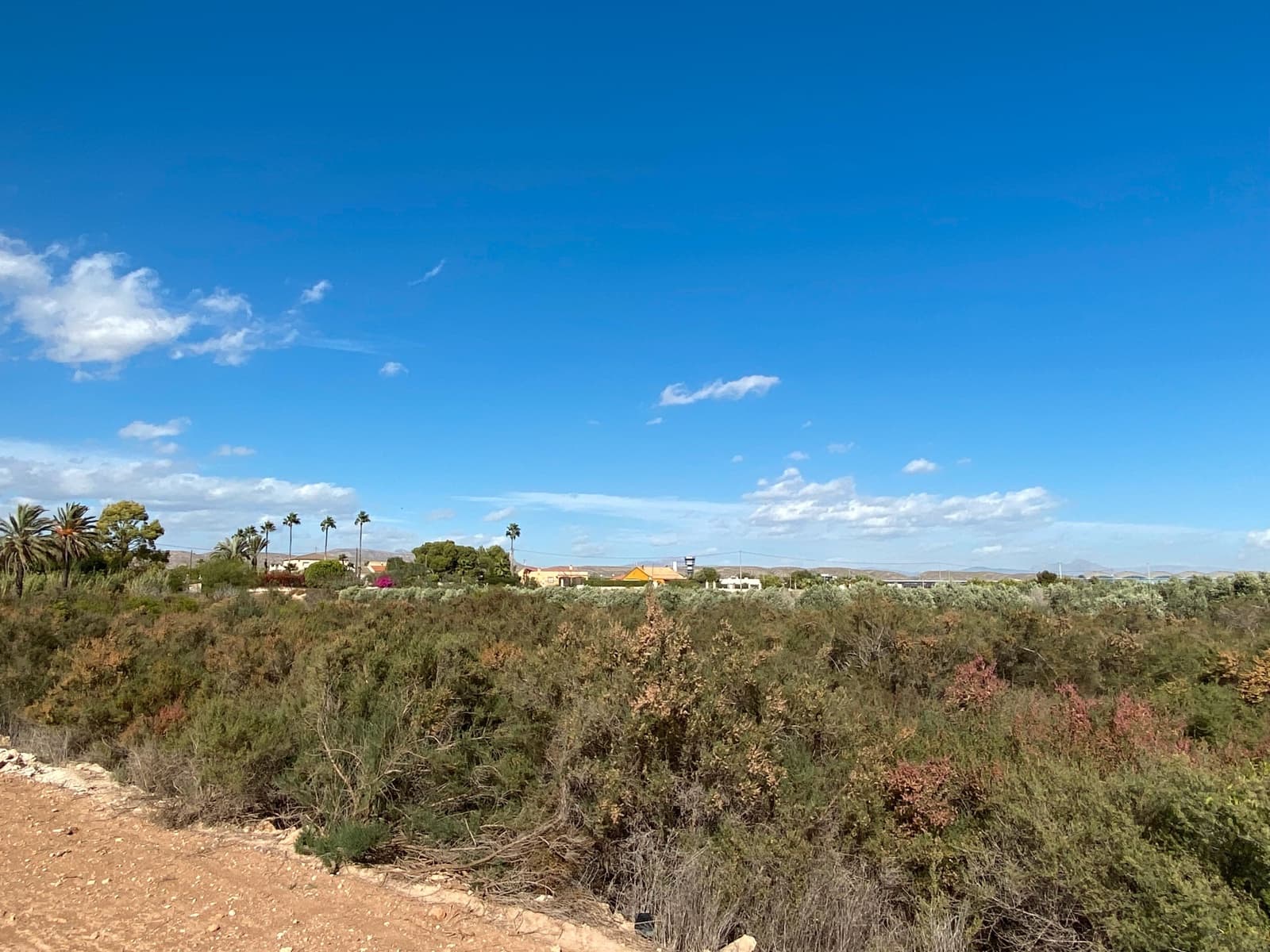 Grunde uden byggetilladelser til salg i Elche / Elx - € 33.000 (Ref: 8782346)