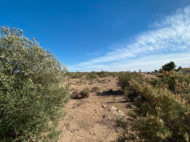 Undeveloped Land for sale in El Altet, Elche / Elx - € 33,000 (Ref: 8782346)