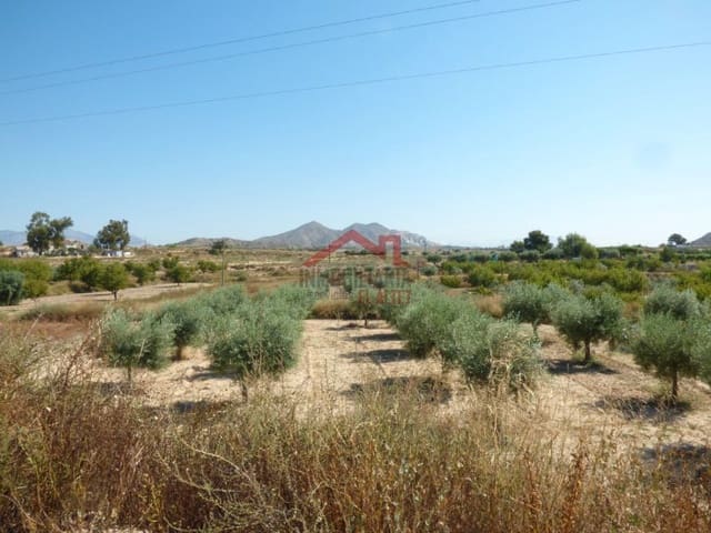 Grunde uden byggetilladelser til salg i Rebolledo, Alicante by - € 34.000 (Ref: 8820847)