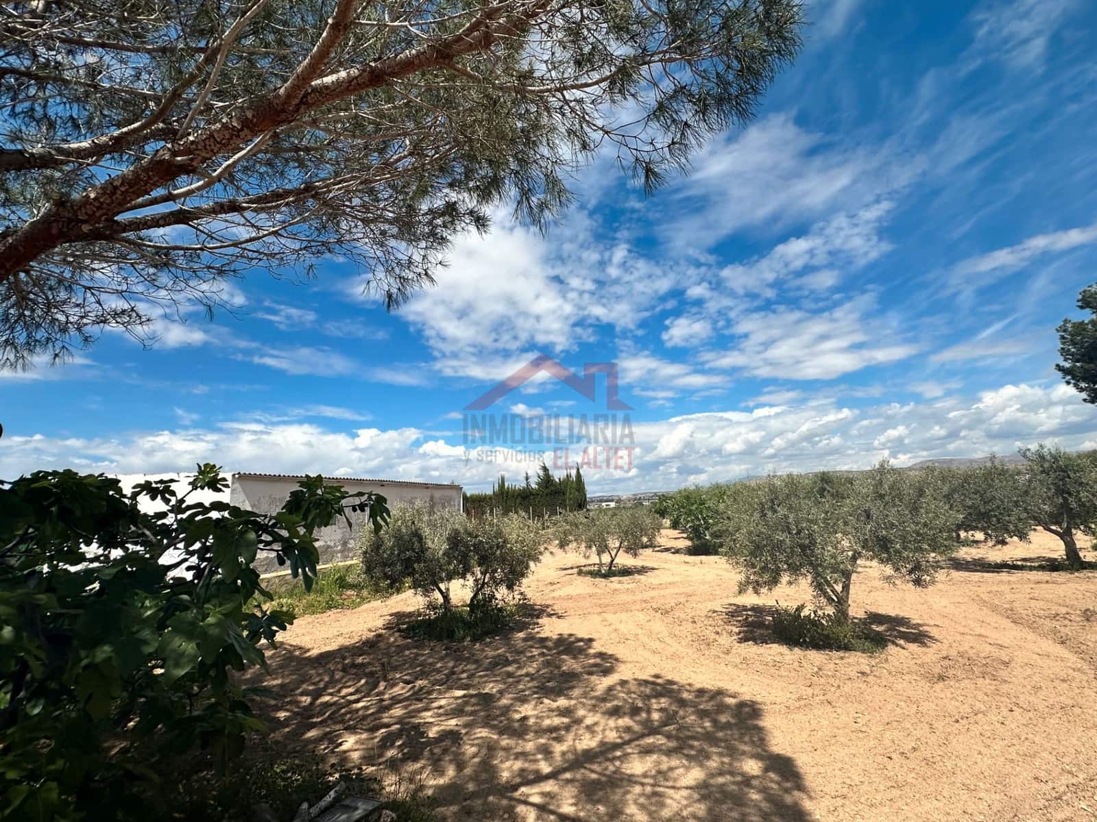 3 slaapkamer Villa te koop in Elche / Elx met zwembad garage - € 299.900 (Ref: 8967271)