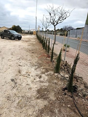 Building Plot for sale in Hondón de los Frailes - € 120,000 (Ref: 9271852)