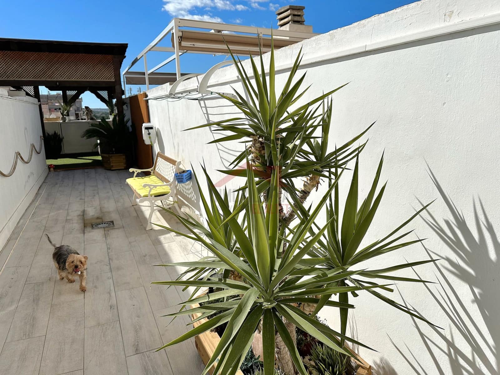 3 sypialnia Mieszkanie na sprzedaż w Elche / Elx - 250 000 € (Ref: 9363089)