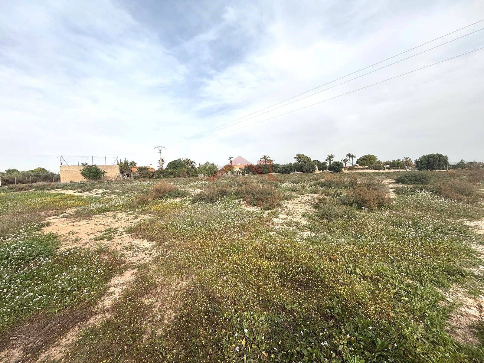 Terreno Não Urbanizado para arrendar em Elche / Elx - 2 000 € (Ref: 9443782)