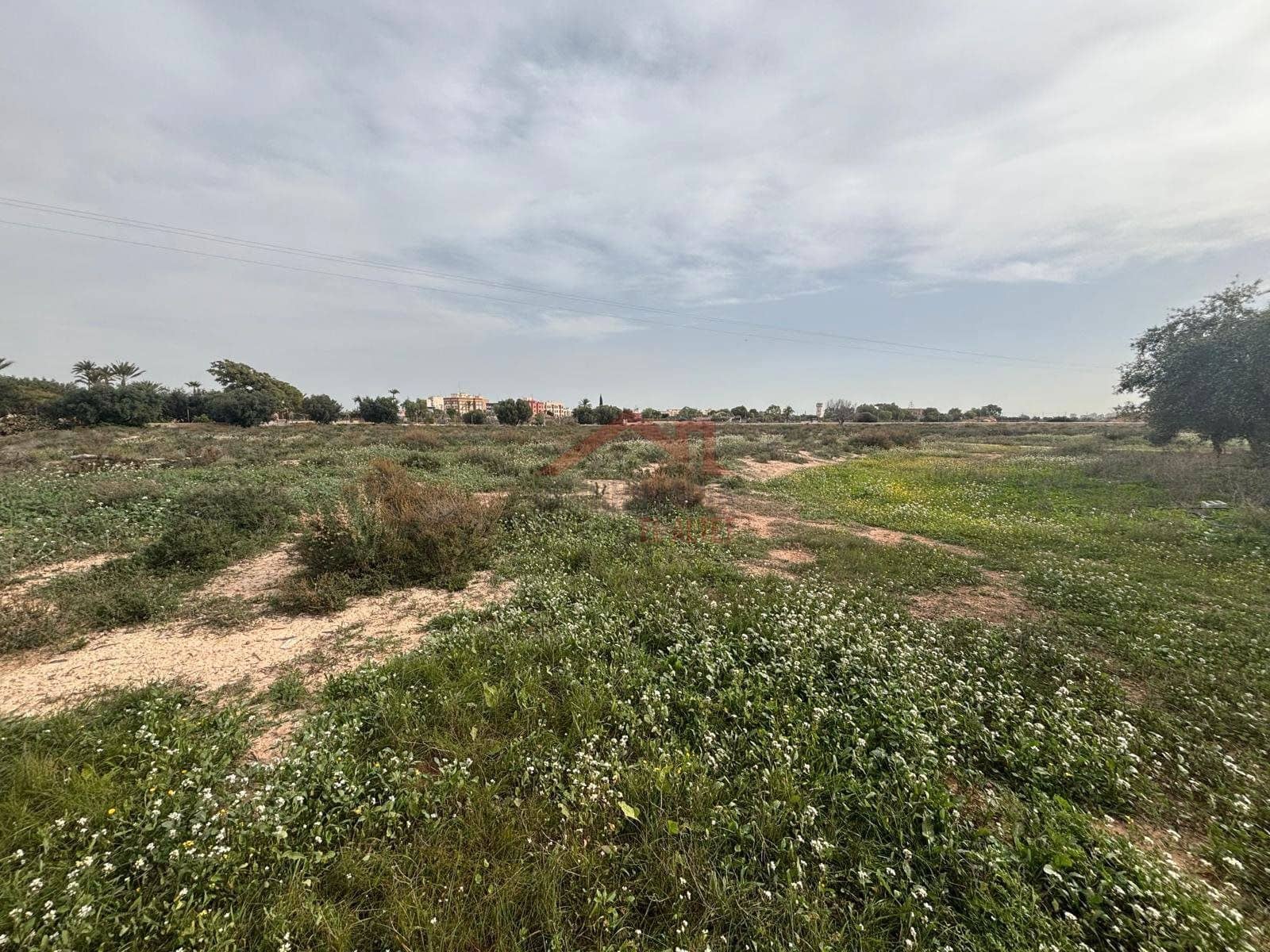 Terreno Não Urbanizado para arrendar em Elche / Elx - 2 000 € (Ref: 9443782)