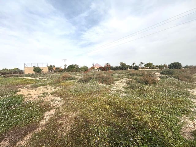 Undeveloped Land for rent in El Altet, Elche / Elx - € 2,000 (Ref: 9443782)