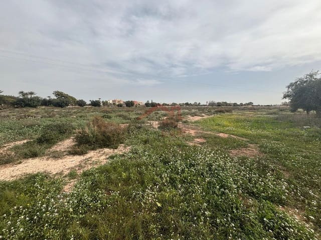 Undeveloped Land for rent in El Altet, Elche / Elx - € 2,000 (Ref: 9443782)