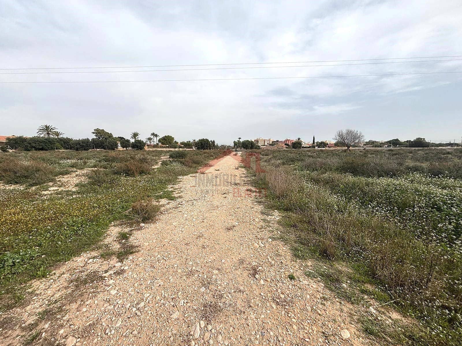 Terreno Não Urbanizado para arrendar em Elche / Elx - 2 000 € (Ref: 9443782)