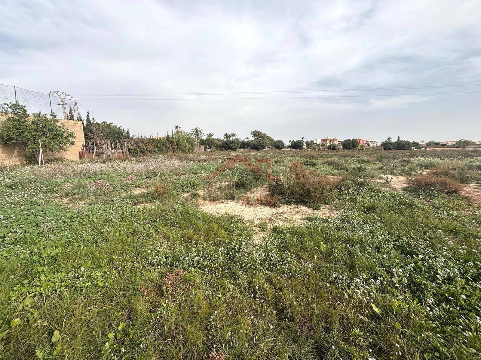 Terreno Não Urbanizado para arrendar em Elche / Elx - 2 000 € (Ref: 9443782)
