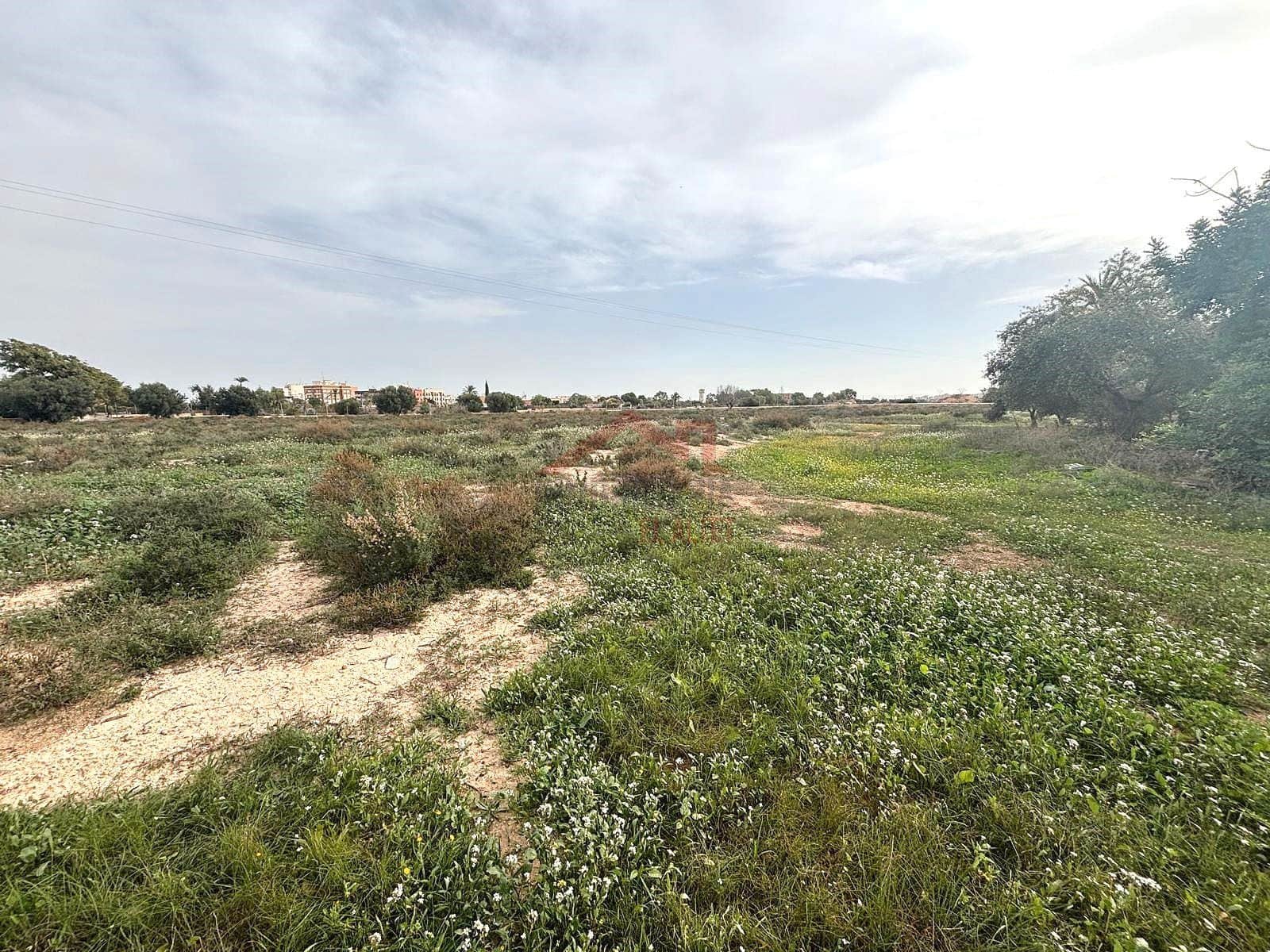Terreno Não Urbanizado para arrendar em Elche / Elx - 2 000 € (Ref: 9443782)