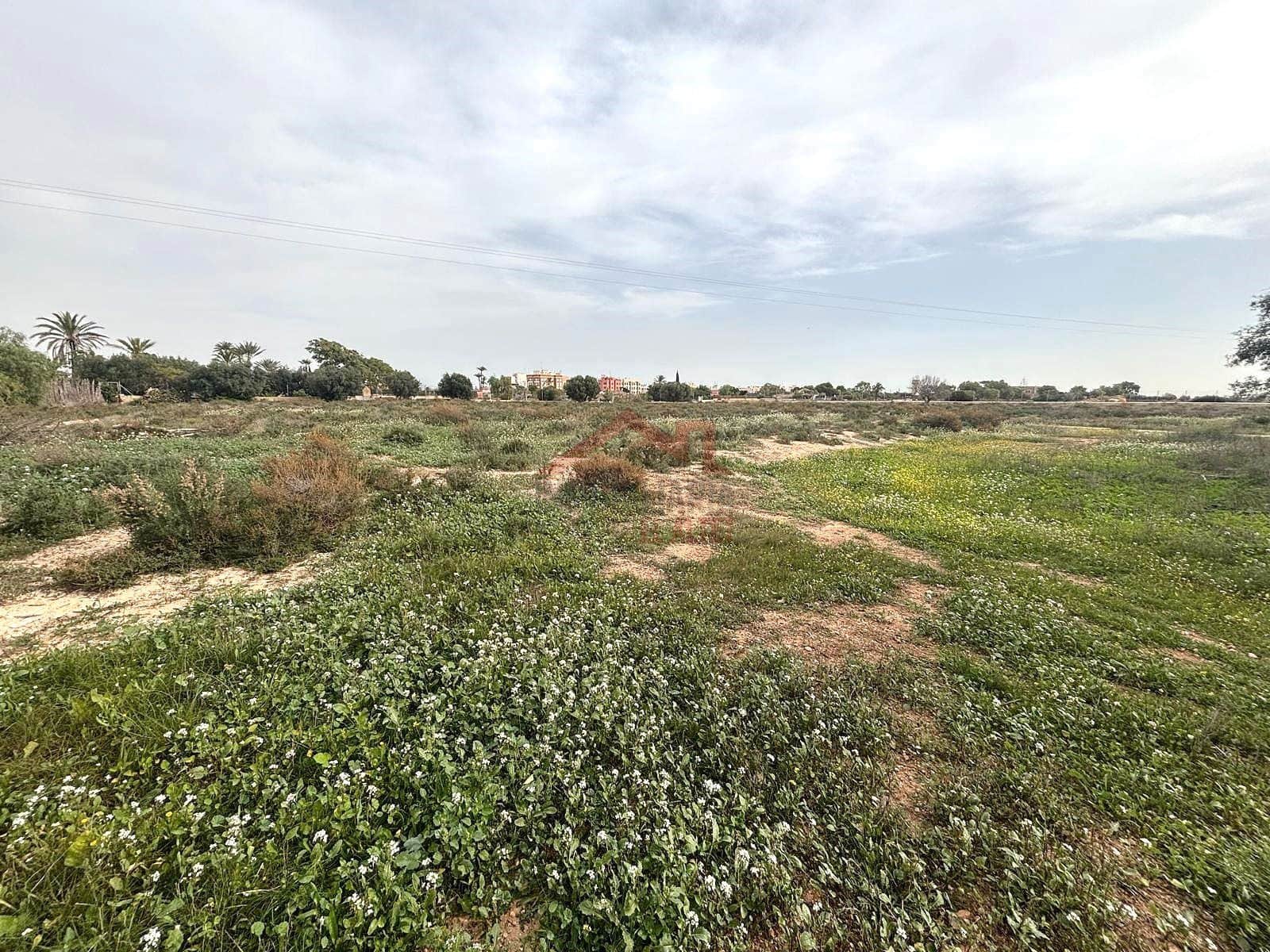 Terreno Não Urbanizado para arrendar em Elche / Elx - 2 000 € (Ref: 9443782)