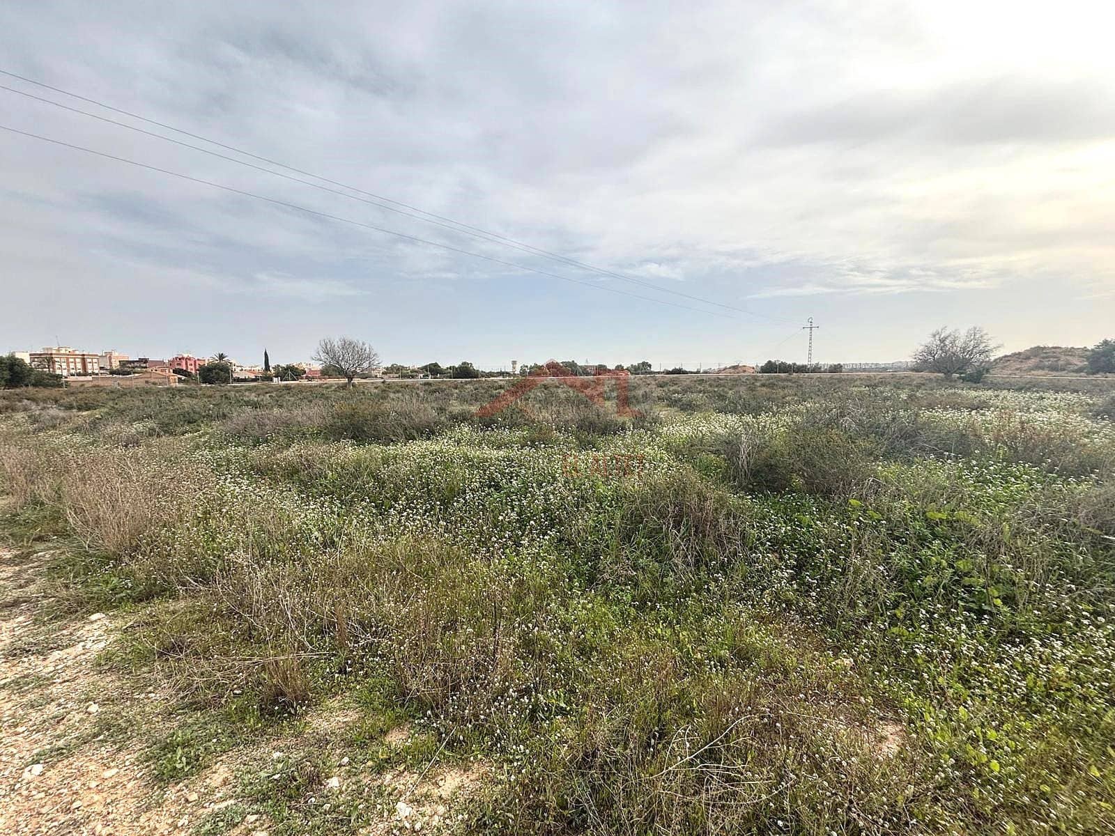 Terreno Não Urbanizado para arrendar em Elche / Elx - 2 000 € (Ref: 9443782)