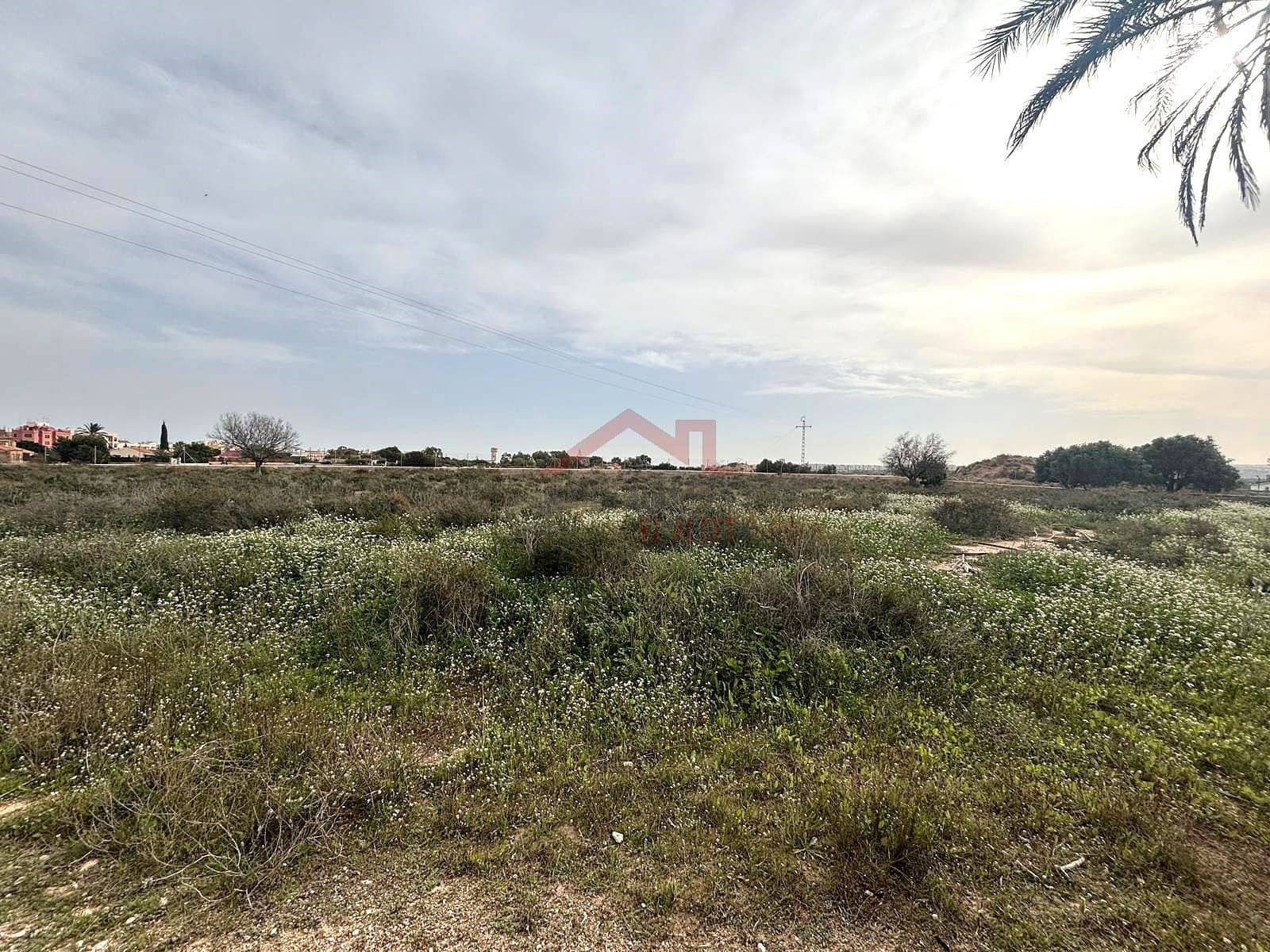Terreno Não Urbanizado para arrendar em Elche / Elx - 2 000 € (Ref: 9443782)