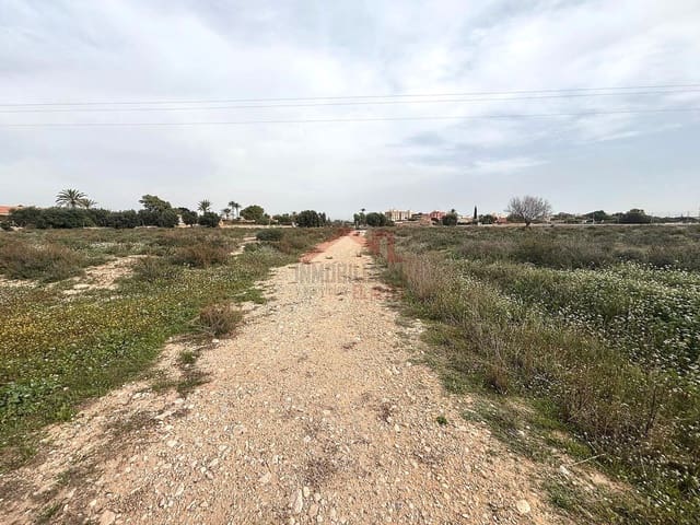 Undeveloped Land for rent in El Altet, Elche / Elx - € 2,000 (Ref: 9443782)