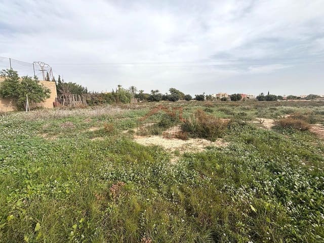 Undeveloped Land for rent in El Altet, Elche / Elx - € 2,000 (Ref: 9443782)