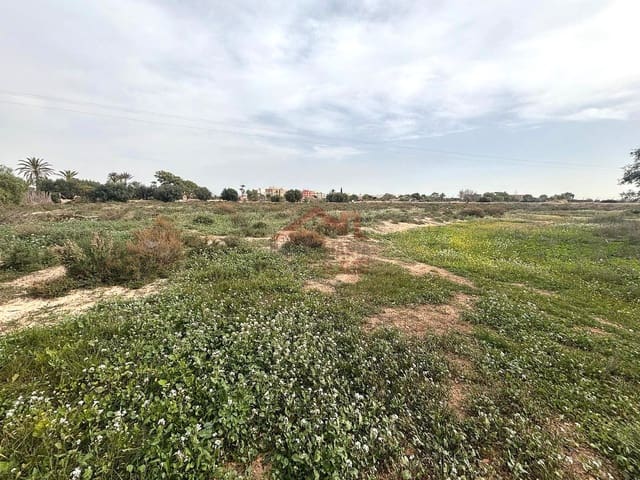 Undeveloped Land for rent in El Altet, Elche / Elx - € 2,000 (Ref: 9443782)