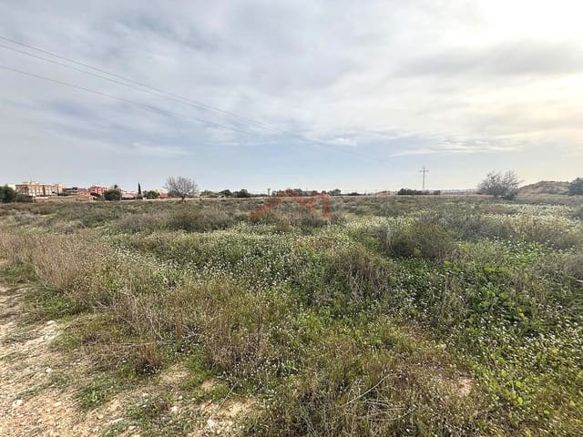 Undeveloped Land for rent in El Altet, Elche / Elx - € 2,000 (Ref: 9443782)