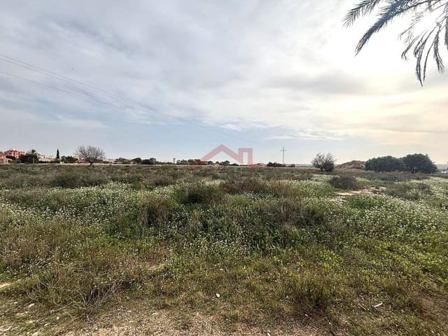 Undeveloped Land for rent in El Altet, Elche / Elx - € 2,000 (Ref: 9443782)