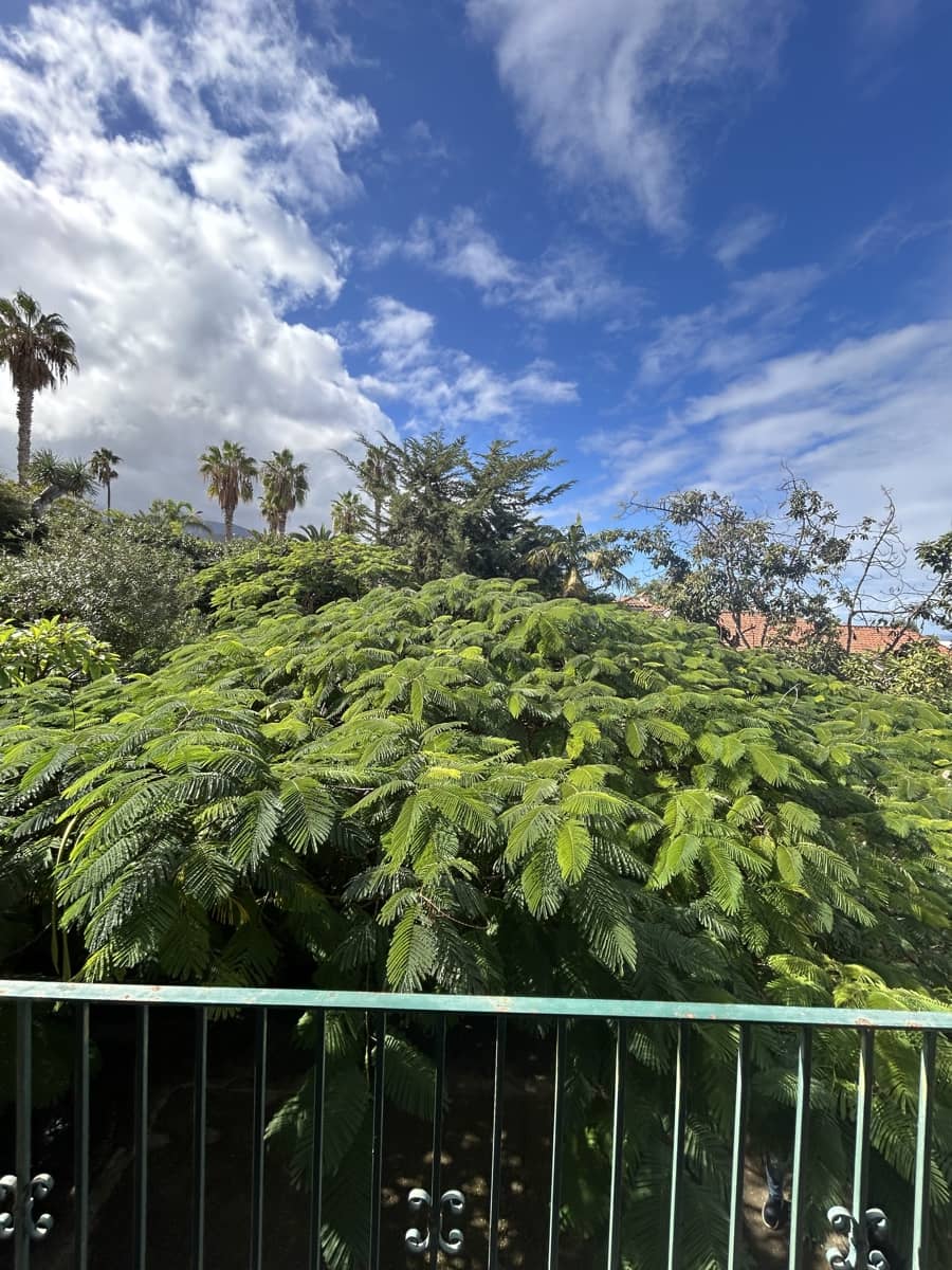 Chalet de 5 habitaciones en Puerto de la Cruz en venta con garaje - 800.000 € (Ref: 9556275)