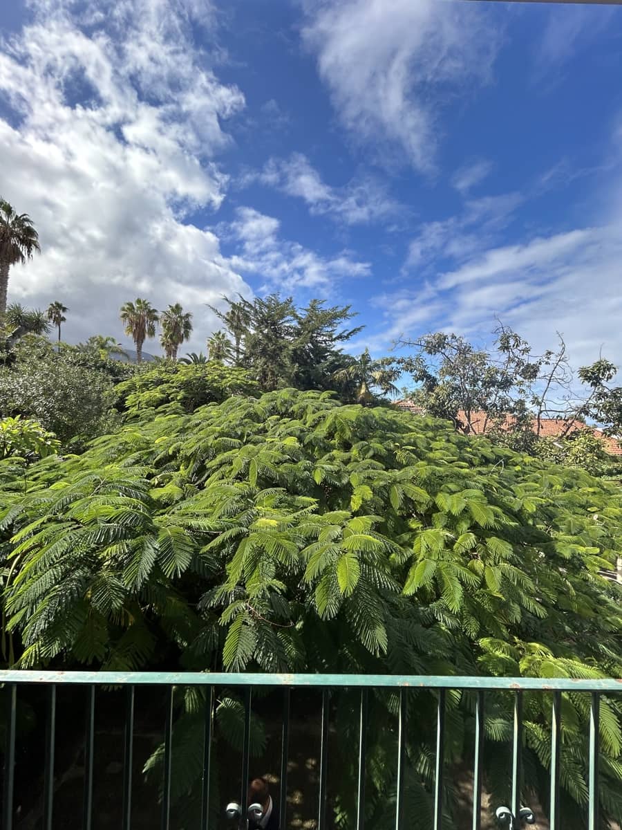 Chalet de 5 habitaciones en Puerto de la Cruz en venta con garaje - 800.000 € (Ref: 9556275)