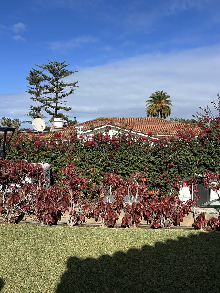 Chalet de 5 habitaciones en Puerto de la Cruz en venta con garaje - 800.000 € (Ref: 9556275)