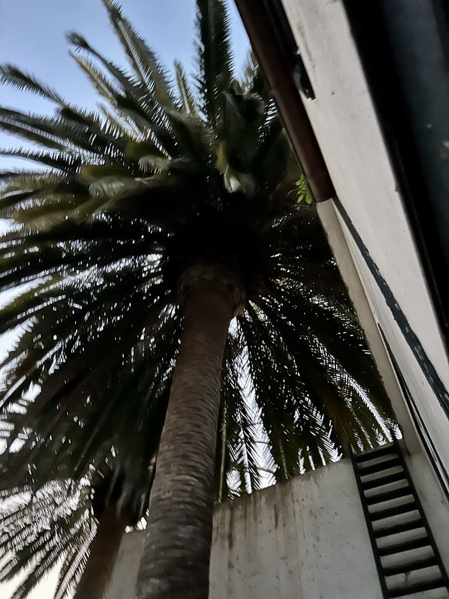 9 quarto Casa em Banda para venda em San Cristobal de La Laguna - 995 000 € (Ref: 9558283)