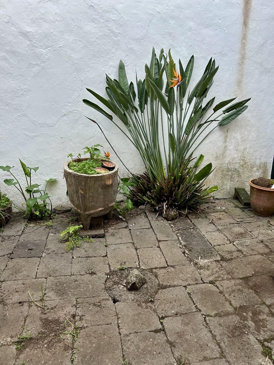 9 quarto Casa em Banda para venda em San Cristobal de La Laguna - 995 000 € (Ref: 9558283)