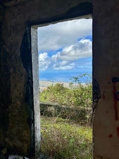 Undeveloped Land for sale in La Orotava - € 1,500,000 (Ref: 9558284)