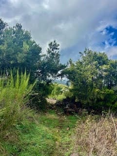 Undeveloped Land for sale in La Orotava - € 1,500,000 (Ref: 9558284)