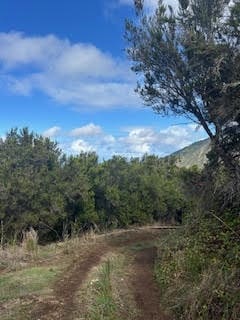 Undeveloped Land for sale in La Orotava - € 1,500,000 (Ref: 9558284)