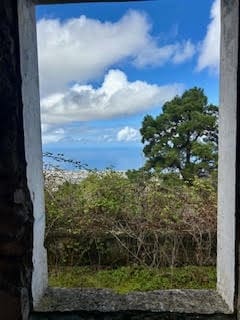 Undeveloped Land for sale in La Orotava - € 1,500,000 (Ref: 9558284)