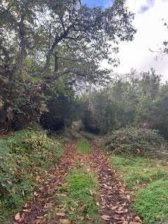 Undeveloped Land for sale in La Orotava - € 1,500,000 (Ref: 9558284)