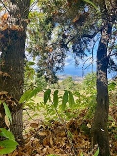 Rakentamaton maa myytävänä paikassa La Orotava - 1 500 000 € (Ref: 9558284)