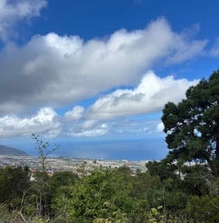 Undeveloped Land for sale in La Orotava - € 1,500,000 (Ref: 9558284)