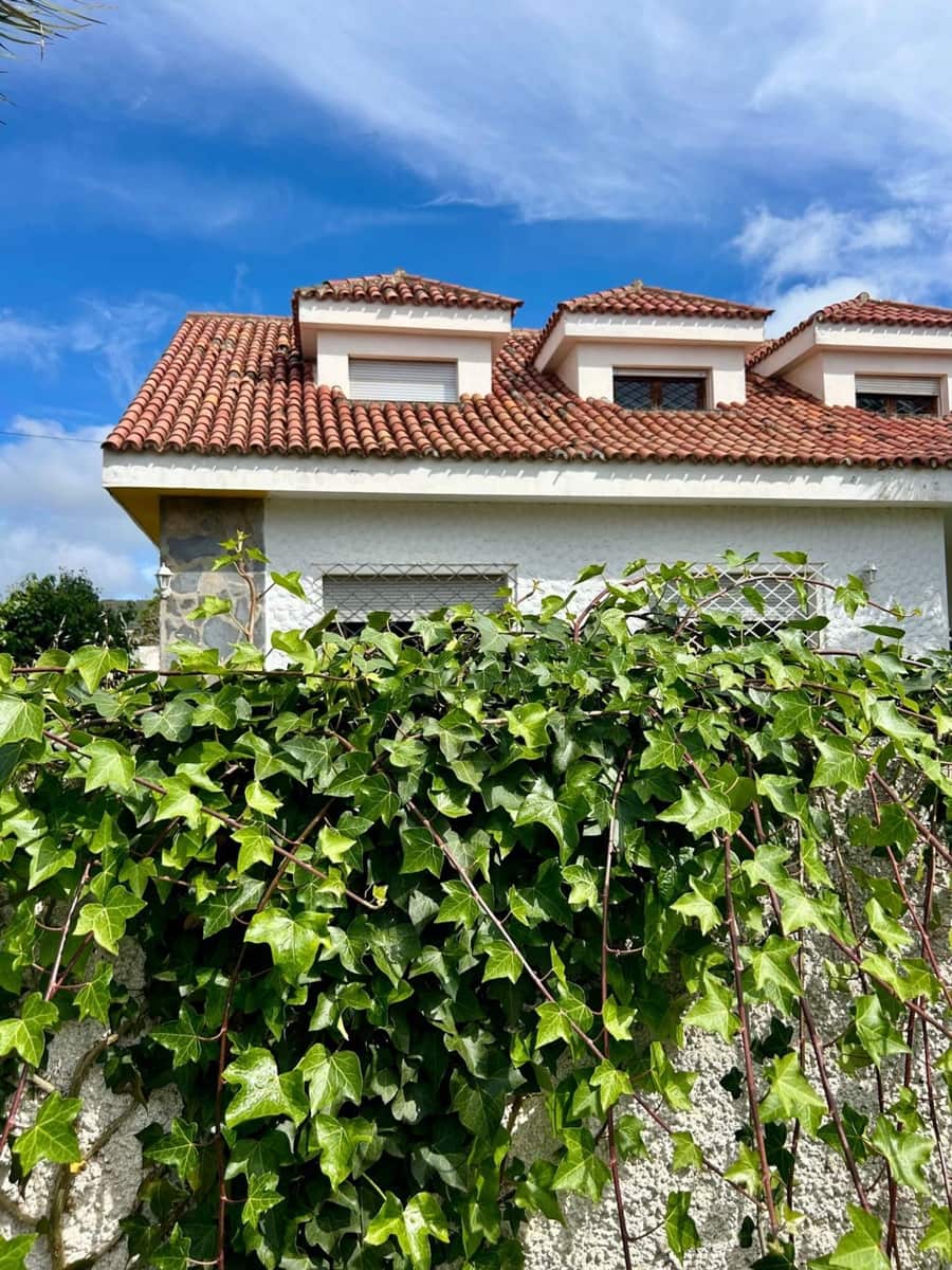 83 soveværelse Villa til salg i San Cristobal de La Laguna med swimmingpool garage - € 1.200.000 (Ref: 9558365)