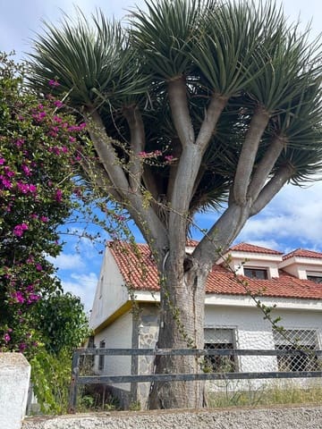 83 soveværelse Villa til salg i San Cristóbal de La Laguna med swimmingpool garage - € 1.200.000 (Ref: 9558365)