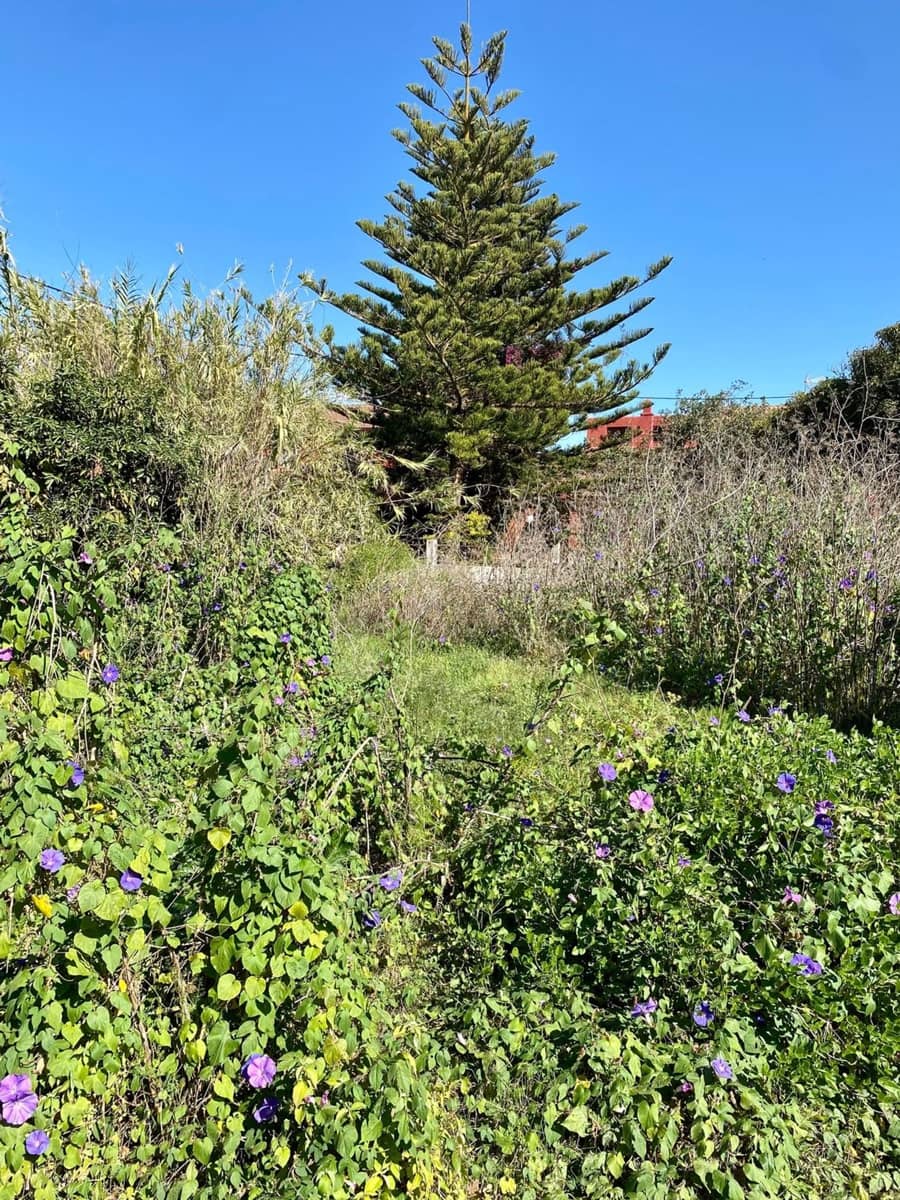 83 soveværelse Villa til salg i San Cristobal de La Laguna med swimmingpool garage - € 1.200.000 (Ref: 9558365)