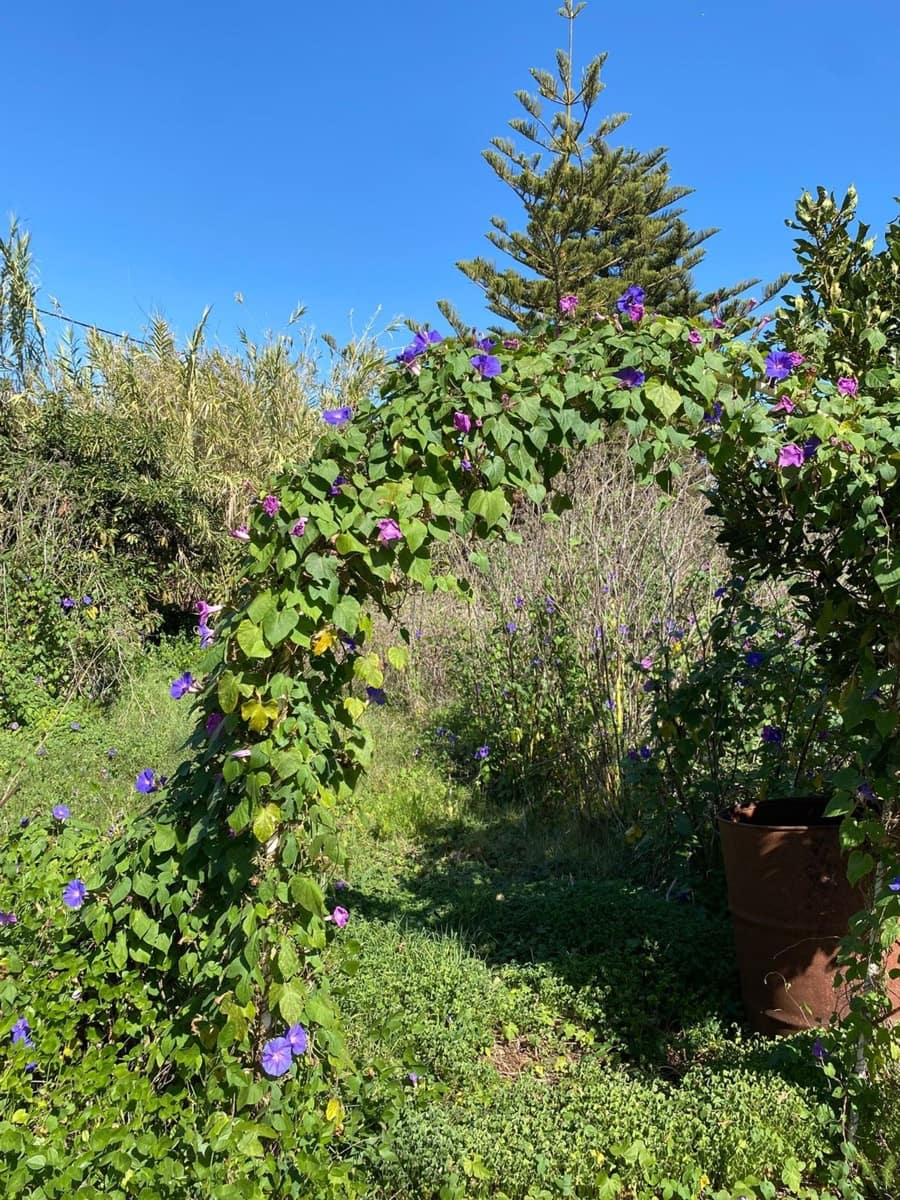 83 soveværelse Villa til salg i San Cristobal de La Laguna med swimmingpool garage - € 1.200.000 (Ref: 9558365)