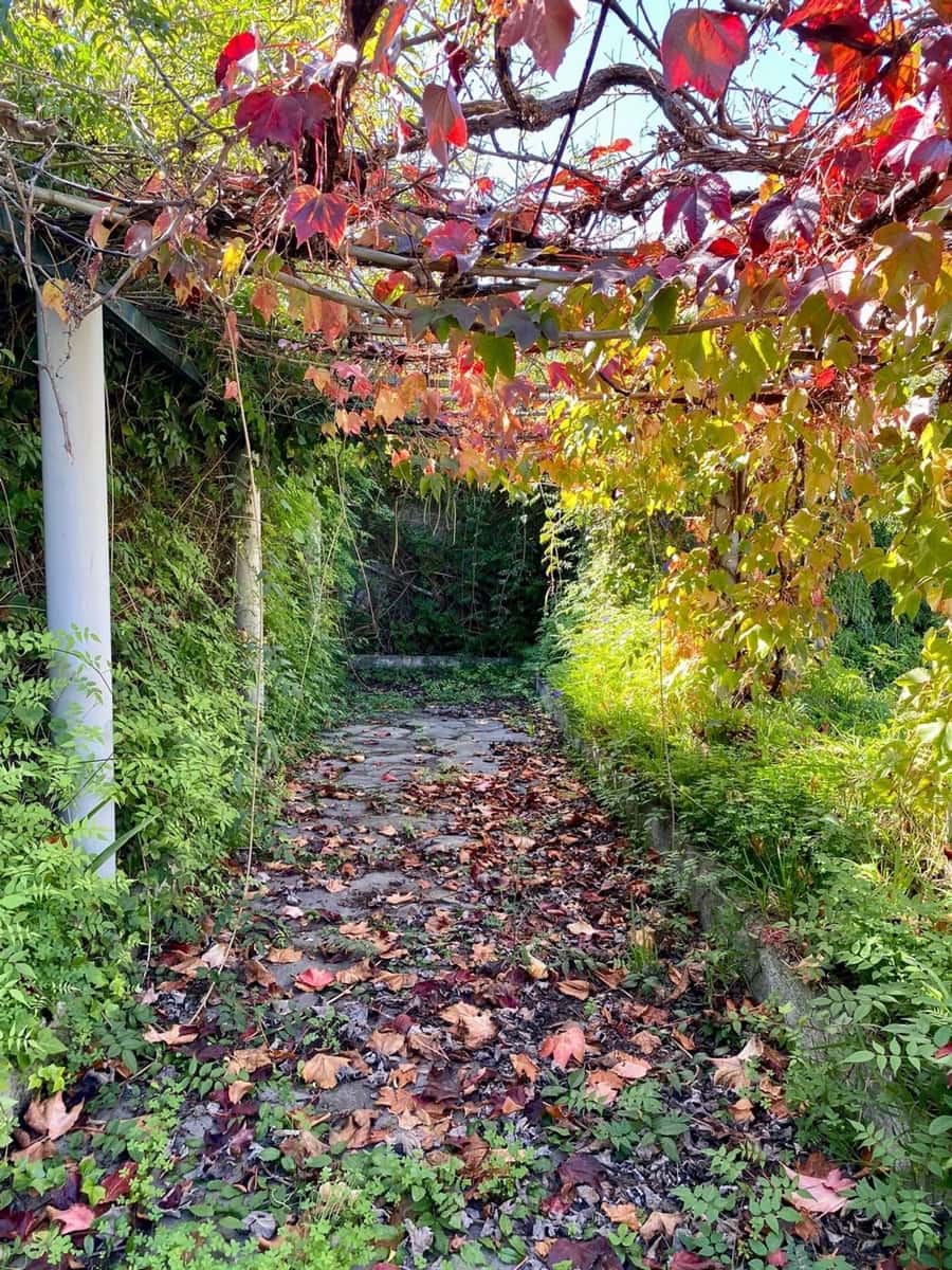 83 soveværelse Villa til salg i San Cristobal de La Laguna med swimmingpool garage - € 1.200.000 (Ref: 9558365)