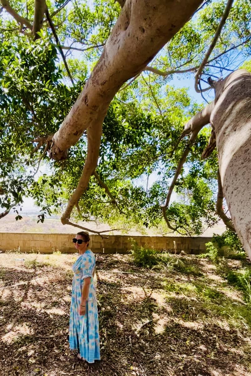 Grond te koop in Telde - € 2.000.000 (Ref: 9558807)