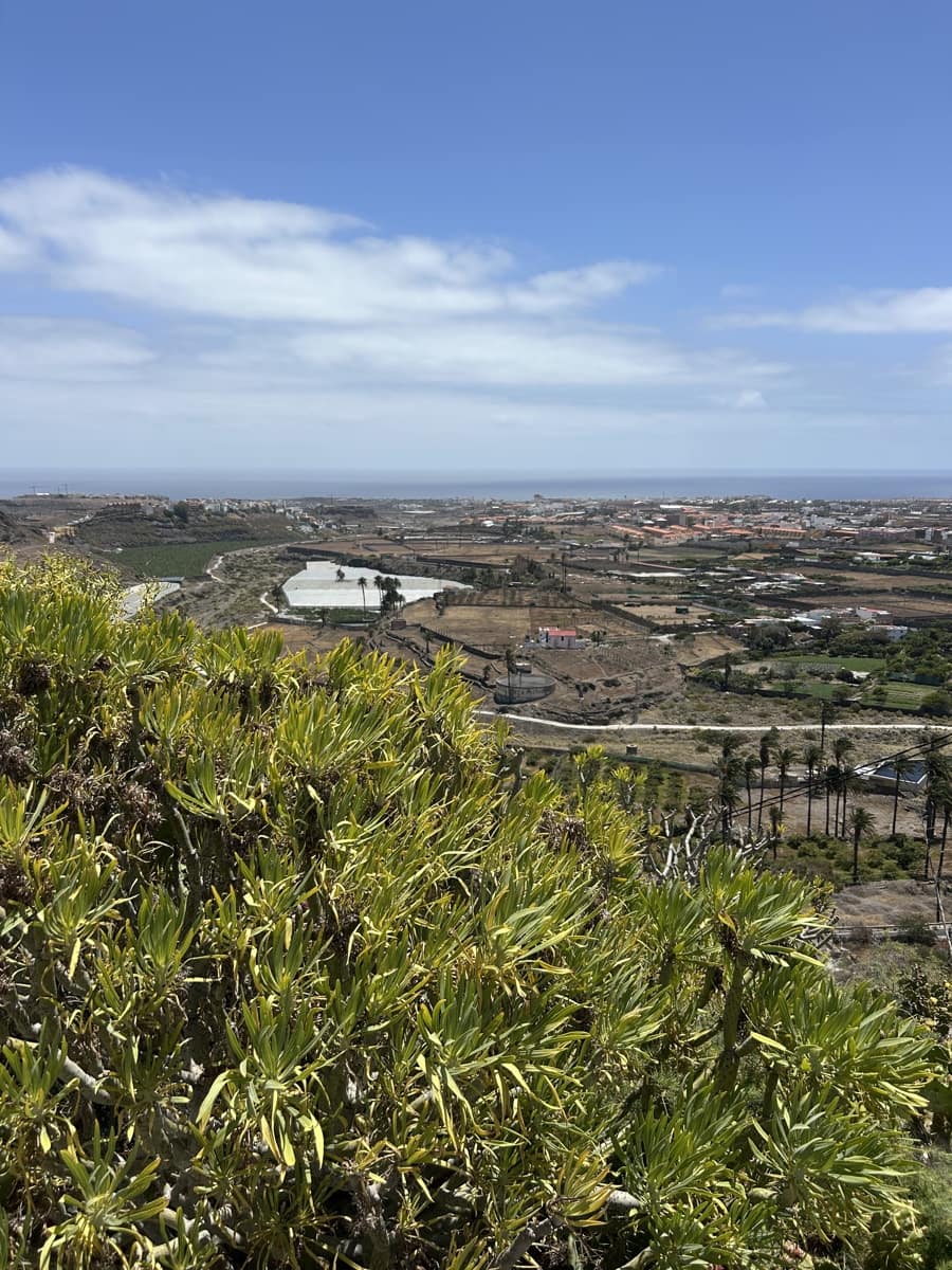 Grond te koop in Telde - € 2.000.000 (Ref: 9558807)